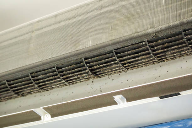 Best Air Duct Inspection  in Minot Af, ND